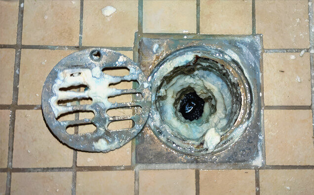 https://blockeddrainsgirrawheen.com.au/uploads/2025/07/blocked-shower-drains-33151.jpg