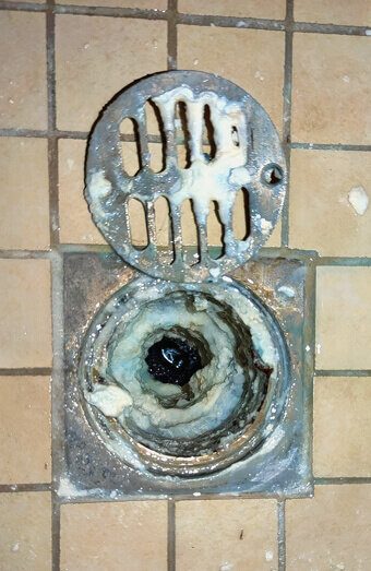https://blockeddrainsgirrawheen.com.au/uploads/2025/07/blocked-shower-drains-86331.jpg