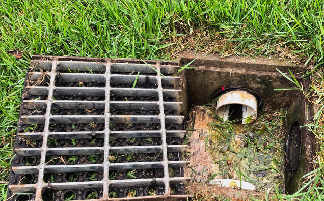 https://blockeddrainsgirrawheen.com.au/uploads/2025/07/hero-blocked-sewers-40191.jpg